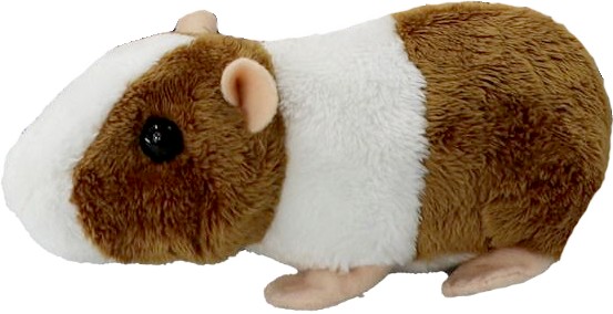 Świnka morska - 15cm