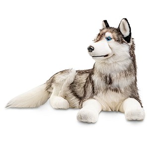 Piesek Husky Leżący - 71cm