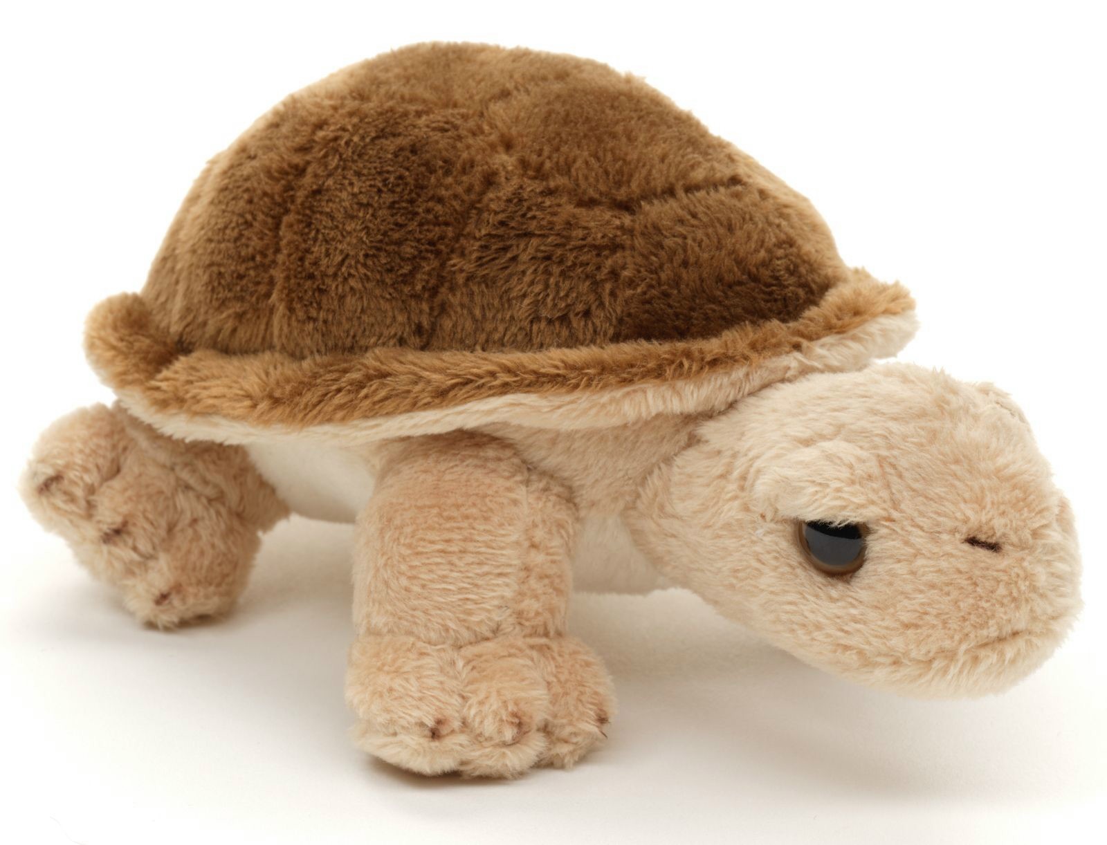 Żółw Lądowy - 14cm