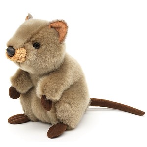 Quokka Krótkoogonowa Australijska - 20cm