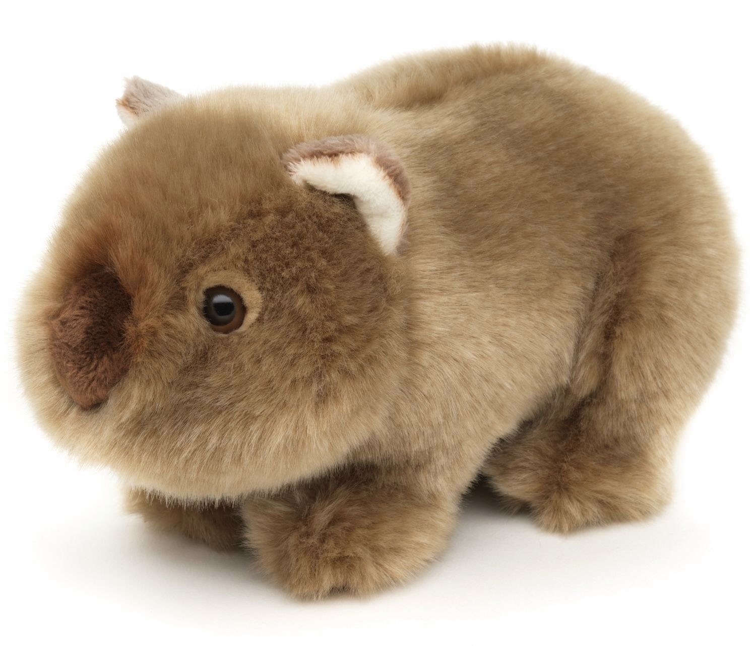 Wombat Realistyczny - 19cm