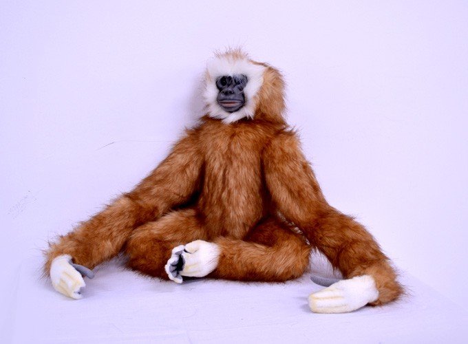 Gibon Małpka Hansa / Roxi - 60cm