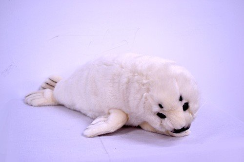 Foka Hansa / Roxi - 64cm