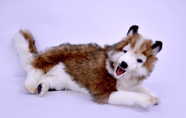 Piesek Husky Hansa / Roxi - 45cm