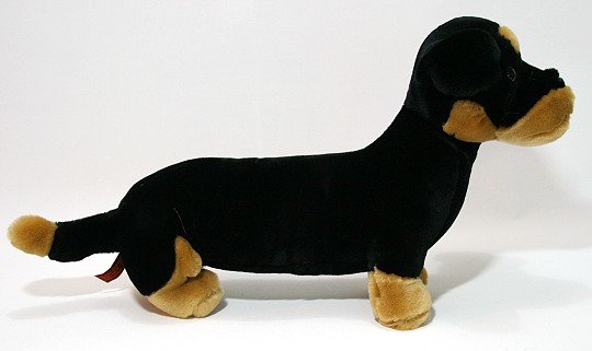 Pies Jamnikowaty - 50cm