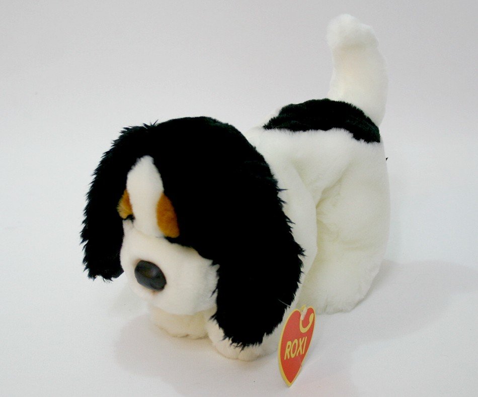 Pies Spaniel Francuski Maluch ROXI - 25cm