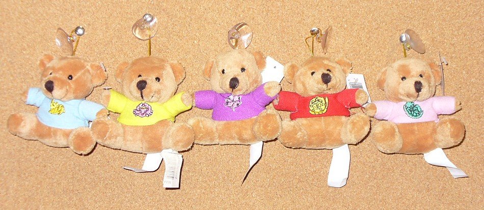 Miś z przyssawką 5 kolorów - 7cm