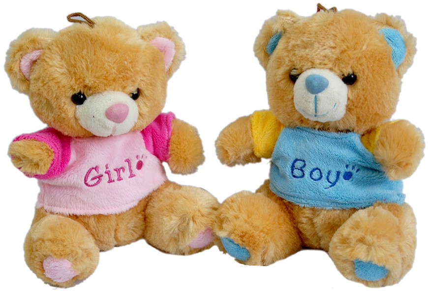 Miś Boy Girl 2 kolory - 19cm