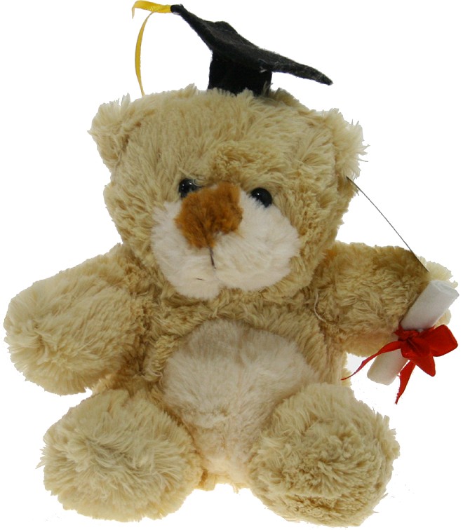 Miś Absolwent Szkolny Brązowy - 18cm