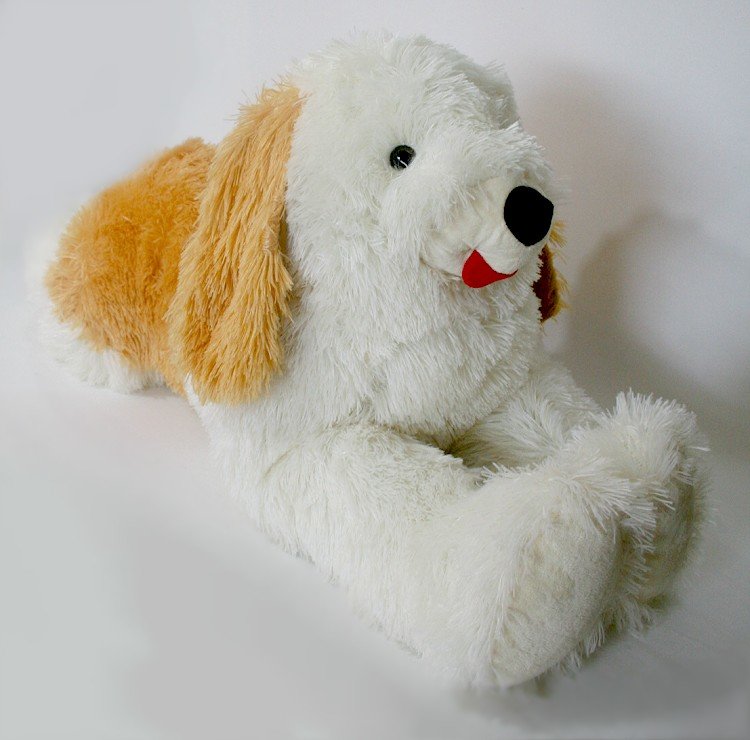 Pies Leżący Łaciaty - 110cm