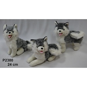 Pies Husky Orx 3 wzory - 24cm