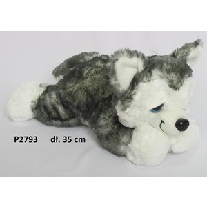Pies Husky Lezący - 35cm