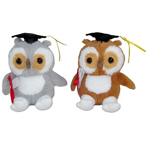 Sowa Szkolna Absolwent Ptak Profesor 2 kolory - 12cm