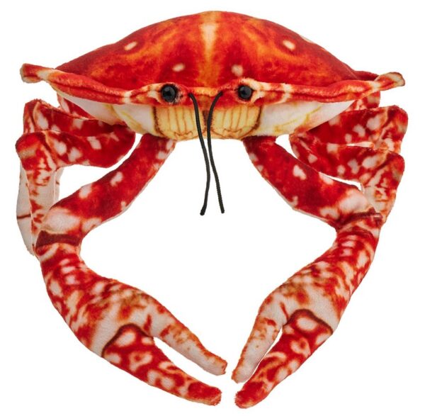 Krab pomarańczowy - 26cm