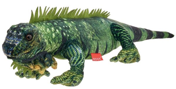 Legwan Iguana - 61cm