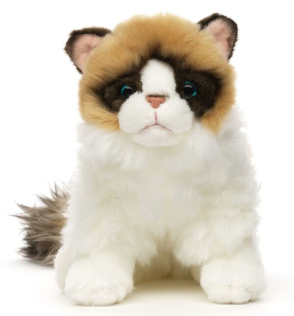 Kotek Ragdoll Realistyczny - 23cm